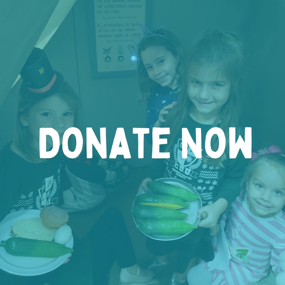 Donate Now